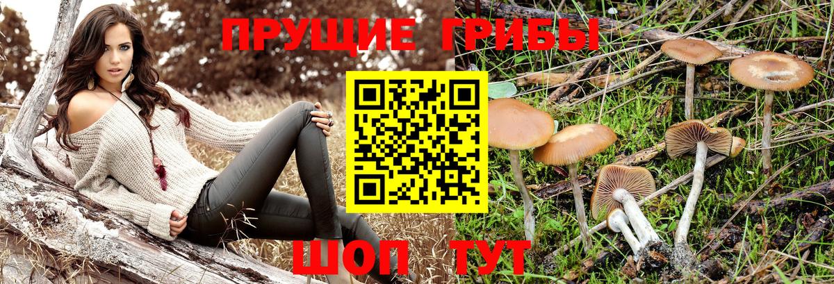 Каннабис  COCAIN  МЕТАМФЕТАМИН  МЕФ кристаллы  Гашиш  Котлас  Вход с VPN 