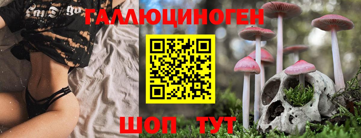 Котлас  дарнет шоп  Вход с VPN  Галлюциногенные грибы GOLDEN TEACHER 